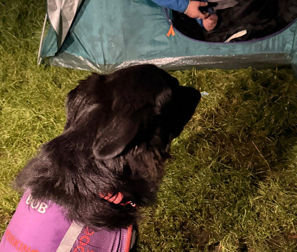 Partnership Working to Locate and Support People Rough Sleeping in Bishop Auckland