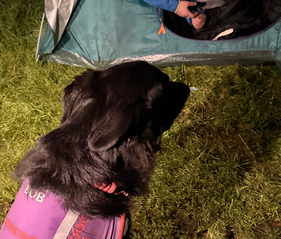 Partnership Working to Locate and Support People Rough Sleeping in Bishop Auckland