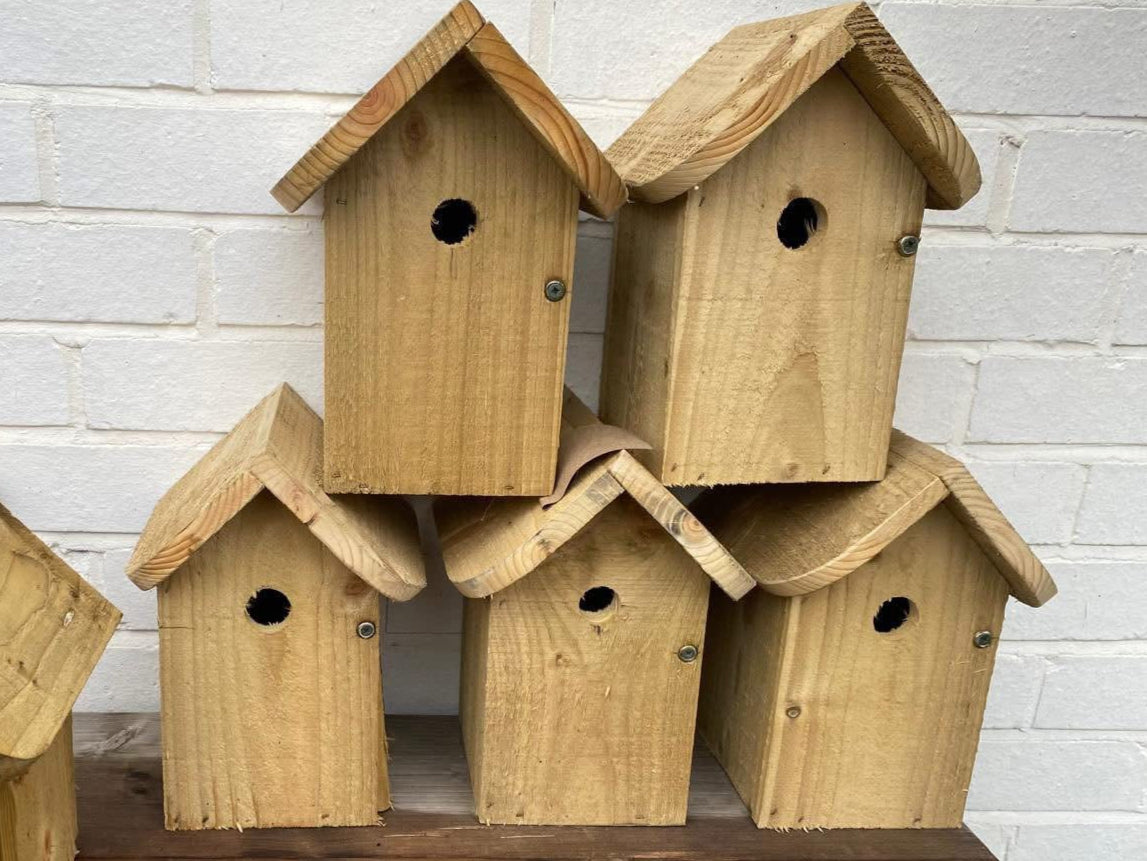 Tit Bird Box